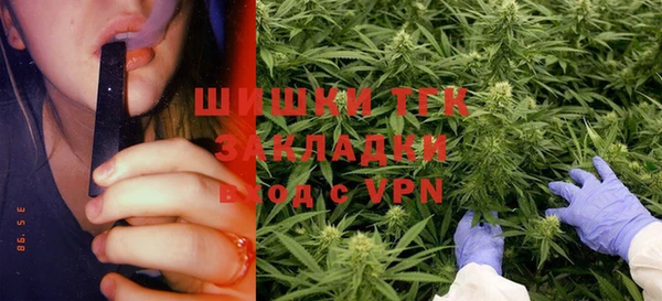 эйфоретик Алзамай