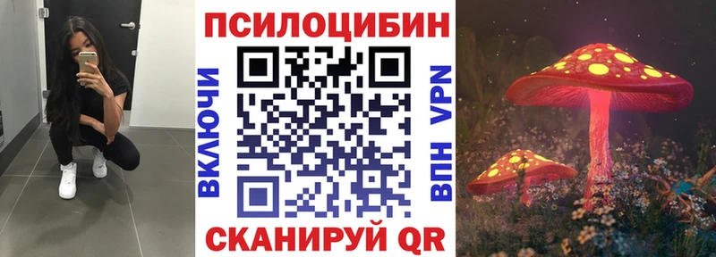 Псилоцибиновые грибы Magic Shrooms как найти наркотики Почеп